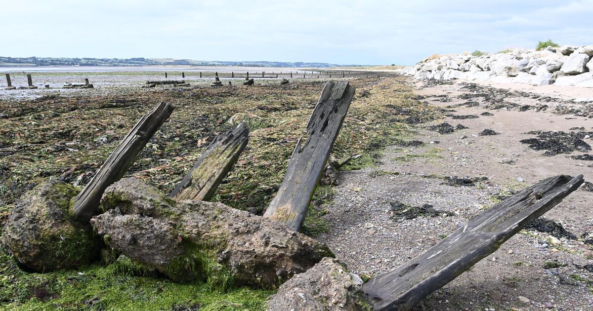 UCC study urges council to take action on coastal erosion 
