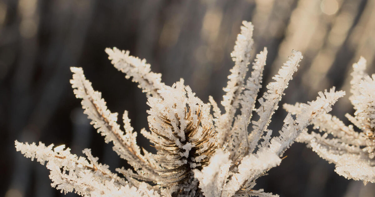 Met Éireann forecasts frost, ice, and winter sunshine for Christmas period
