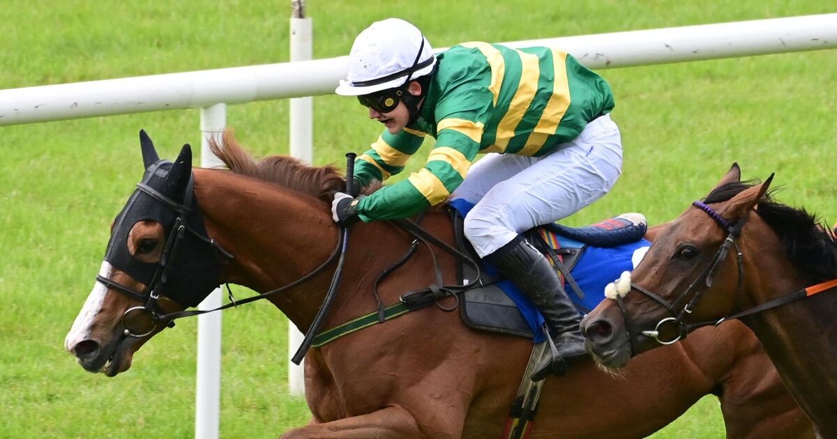 Jockey, Paul Kavanagh, 20, killed in car accident