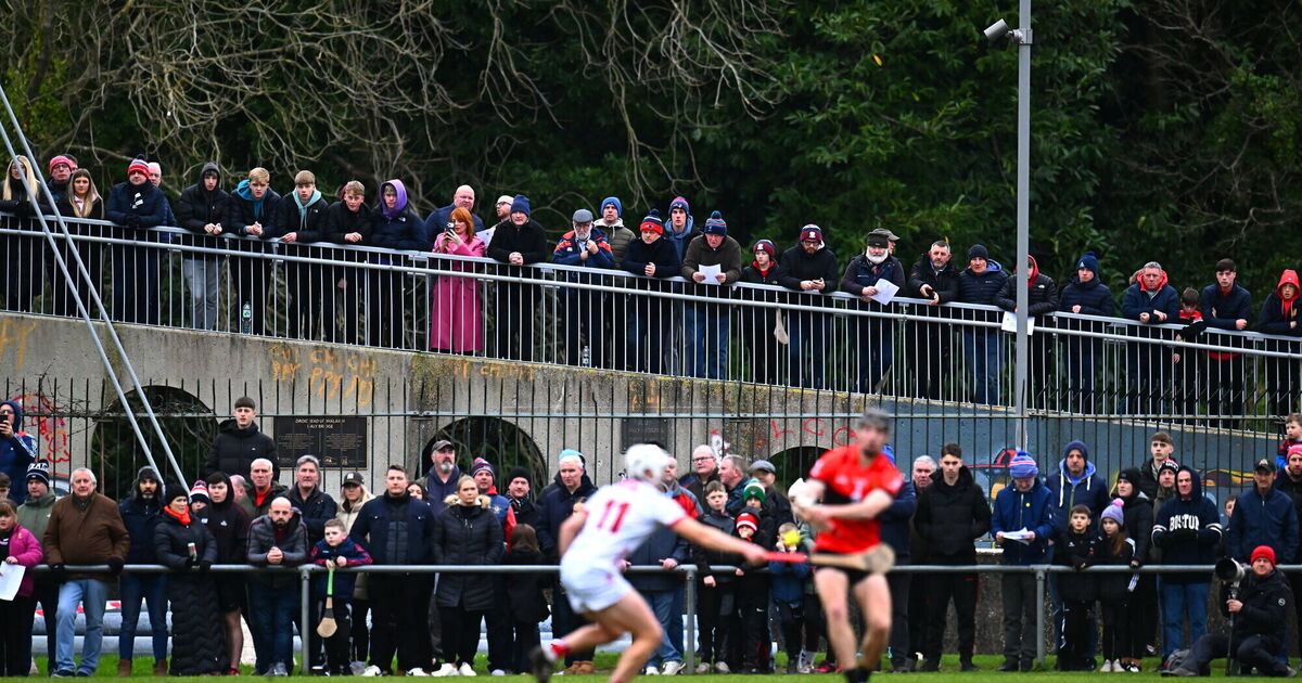 William Buckley scores late winner as UCC beat Cork in Canon O'Brien Cup
