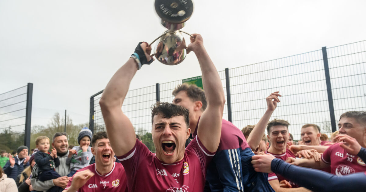 Bishopstown hold out to beat Aghabullogue in U21 B Hurling Championship final