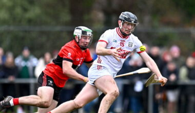 John Horgan picks out the young hurlers to impress from UCC's victory over Cork