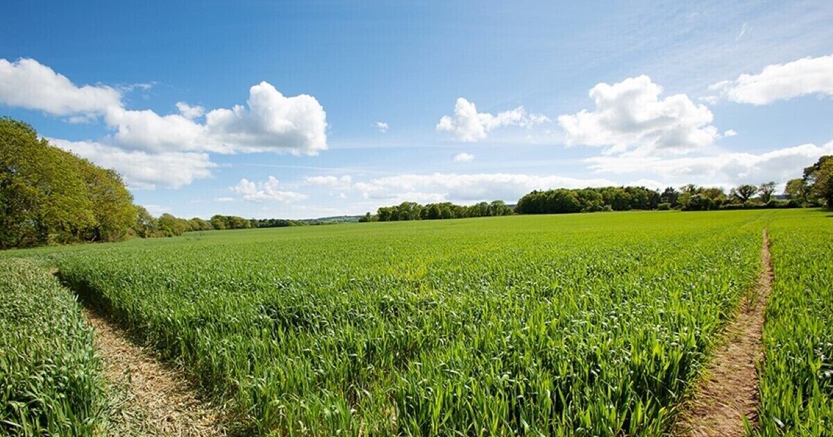 203-acre farm near Dungarvan already the talk of 2026 with €4m price tag
