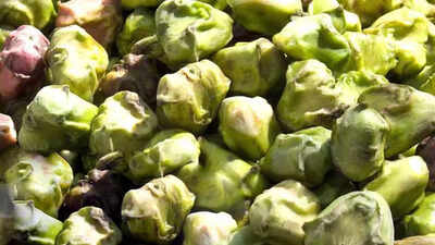 5 hidden benefits of eating water chestnut in winters: Benefits for immunity, digestion and heart