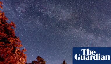 Stargazing in the Lake District: a new forest observatory opens in Grizedale | Lake District holidays