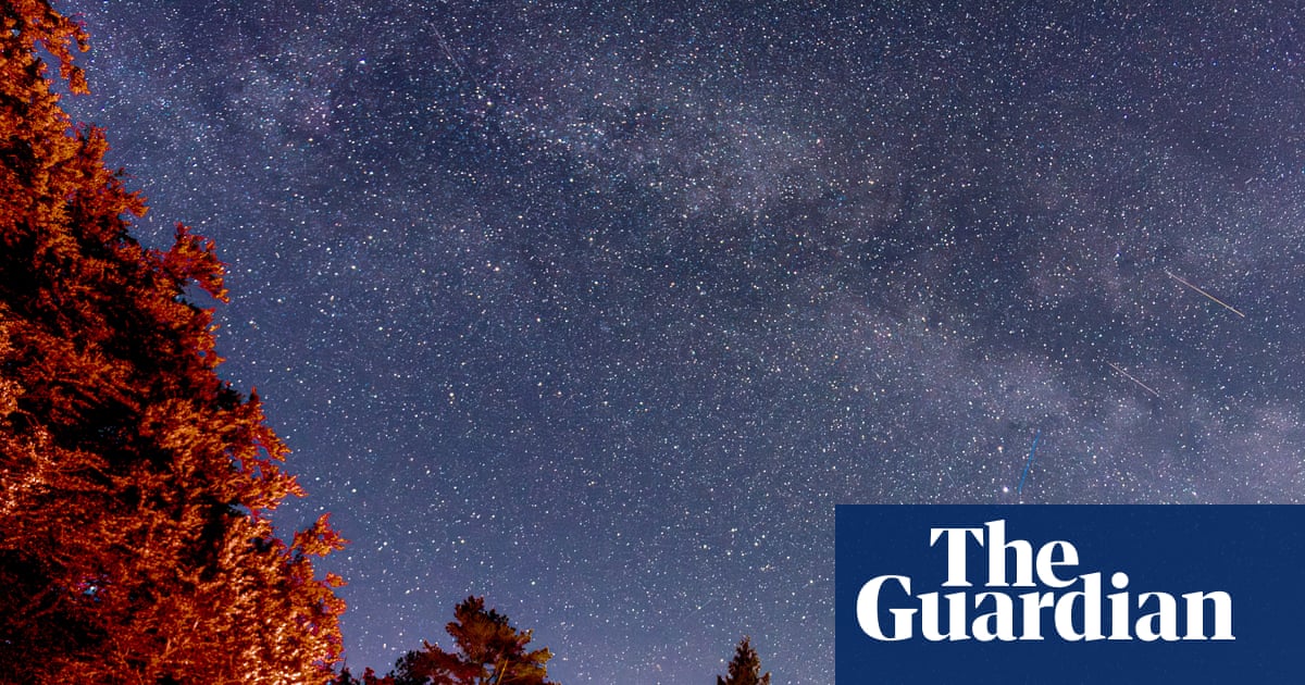 Stargazing in the Lake District: a new forest observatory opens in Grizedale | Lake District holidays