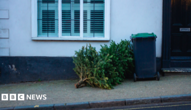 A Christmas tree lies outside a white house next to a recycling bin