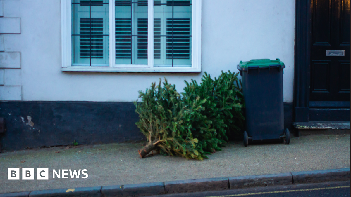 A Christmas tree lies outside a white house next to a recycling bin
