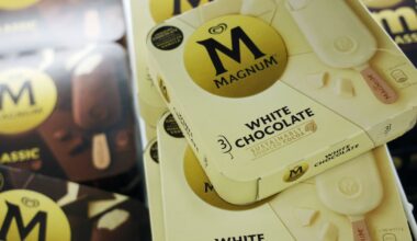 Magnum’s $9.1 billion ice cream listing leaves some investors cold – The Irish Times