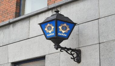 Parents jailed over physical and emotional abuse of their six children – The Irish Times