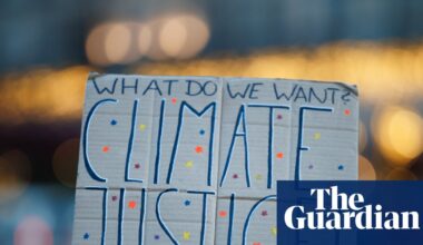 Greenwashing, illegality and false claims: 13 climate litigation wins in 2025 | Climate crisis