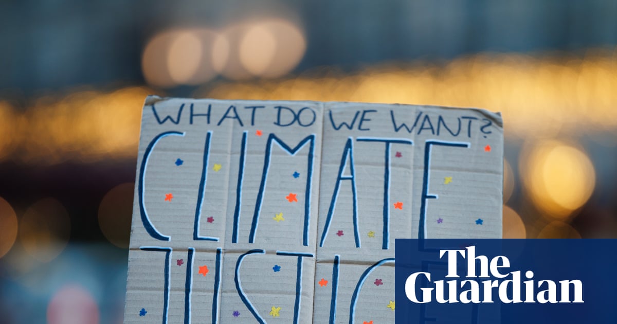 Greenwashing, illegality and false claims: 13 climate litigation wins in 2025 | Climate crisis