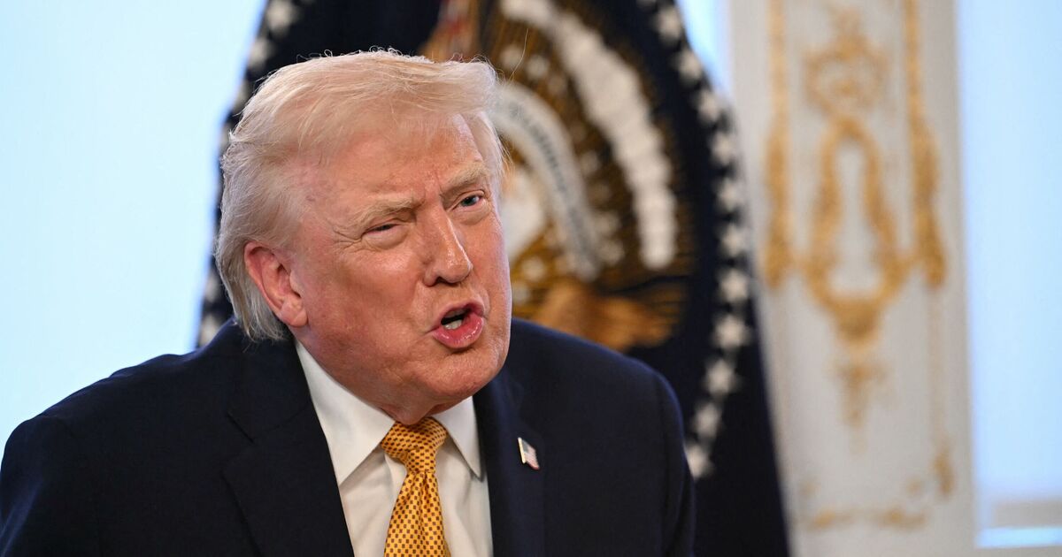 Donald Trump loses it as he claims TV presenter should be 'put to sleep' | Celebrity News | Showbiz & TV