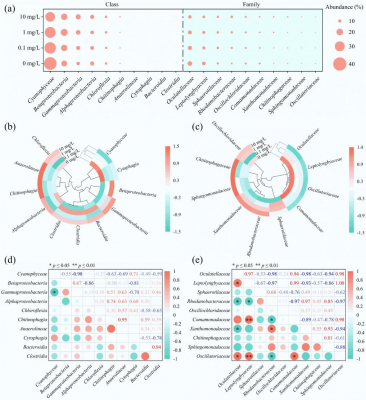 Microalgal–Bacterial granules show resilience to estrogen pollution but face structural collapse at high contamination levels