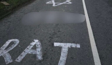 Louth County Council condemns antisemitic graffiti painted on local roads