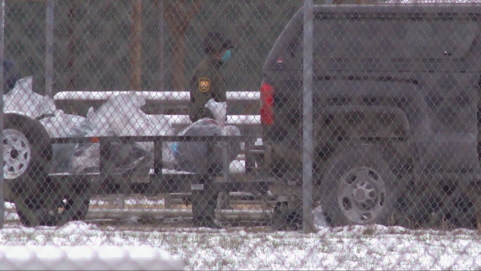 The birds were discovered on the athletic field at St. Bernadette School on Locust Lane. (WKRC)