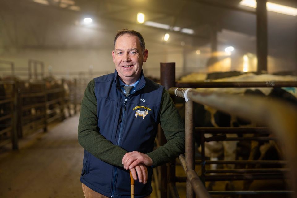 David Quinn is the owner of Carnew Mart and Quinn Property. Photos by Patrick Browne