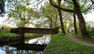 Castlerea listed as least expensive area for housing in Ireland
