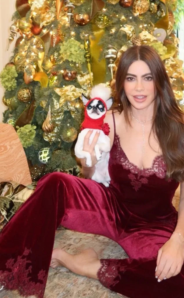 <p>Sofia Vergara</p>