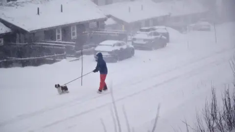 Getty Images A pedestrian walks their dog along a snow-covered road next to houses and parked cars in Are, northern Sweden.