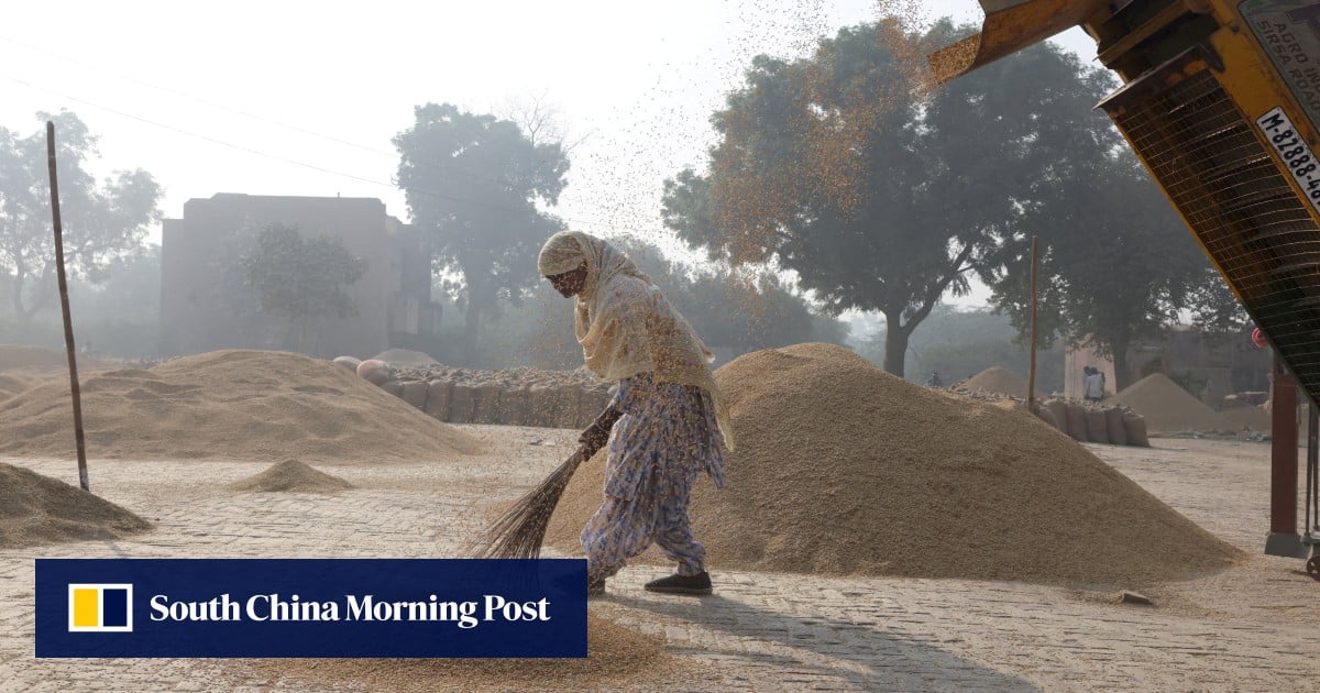 India’s rice exports face price pressures as Trump threatens more tariffs