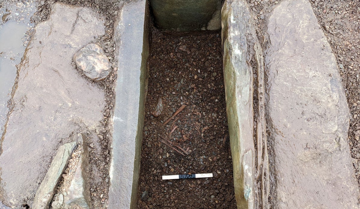 Fresh details emerge on remains of two Bronze Age people found by farmer