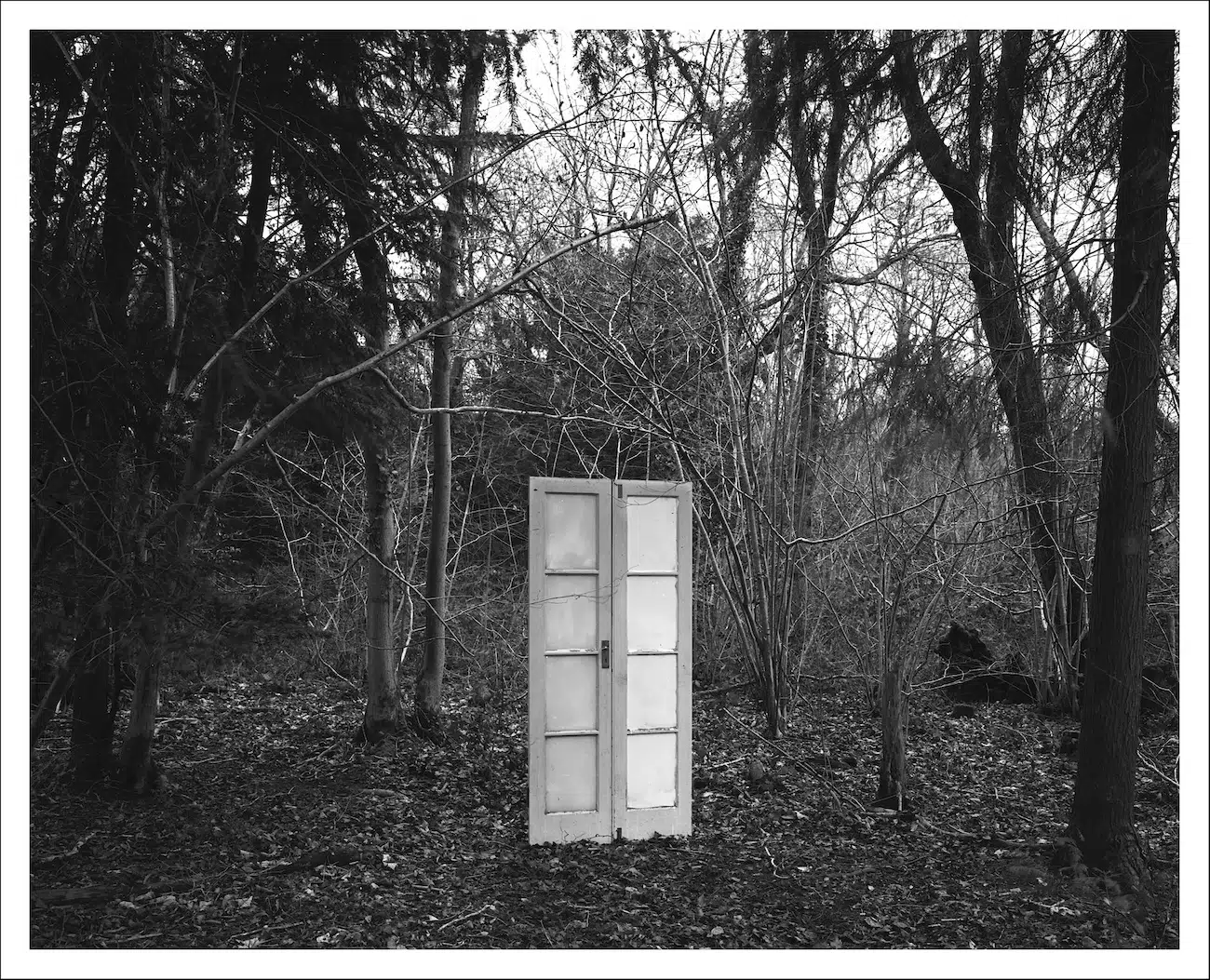 2025 Winners of the World's Longest-Running Photo Prize