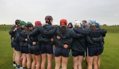 From statues to skorts, Ireland’s talent for preoccupation with the wrong things is intact – The Irish Times