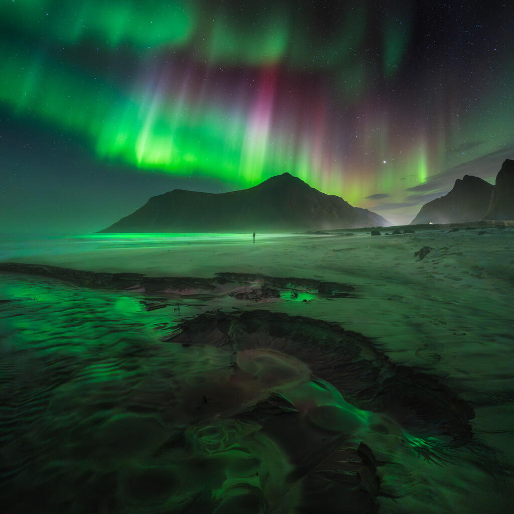 Alone Beneath the Dancing Sky – Skagsanden Beach, Lofoten Islands (Nikola Vukotić / The 2025 Northern Lights photographer of the year) צילומי הזוהר הצפוני היפים בעולם