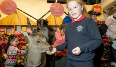 SuperValu ad deer from Wicklow is now a movie star and more in demand than Santa