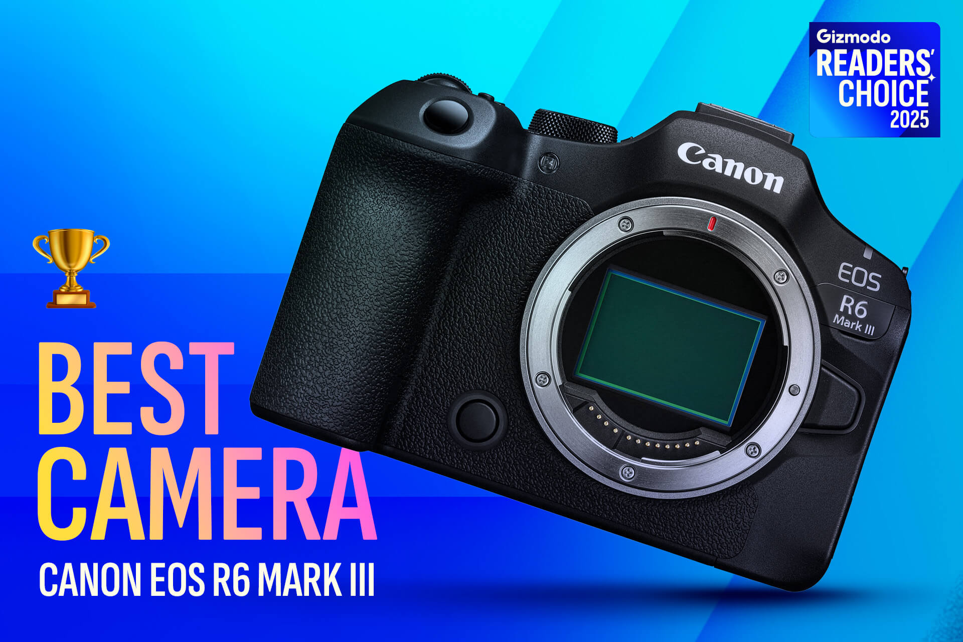 An image of the Canon EOS R6 Mark III.