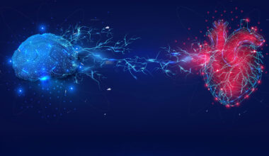 Digital Illustration of Brain and Heart Connectivity.