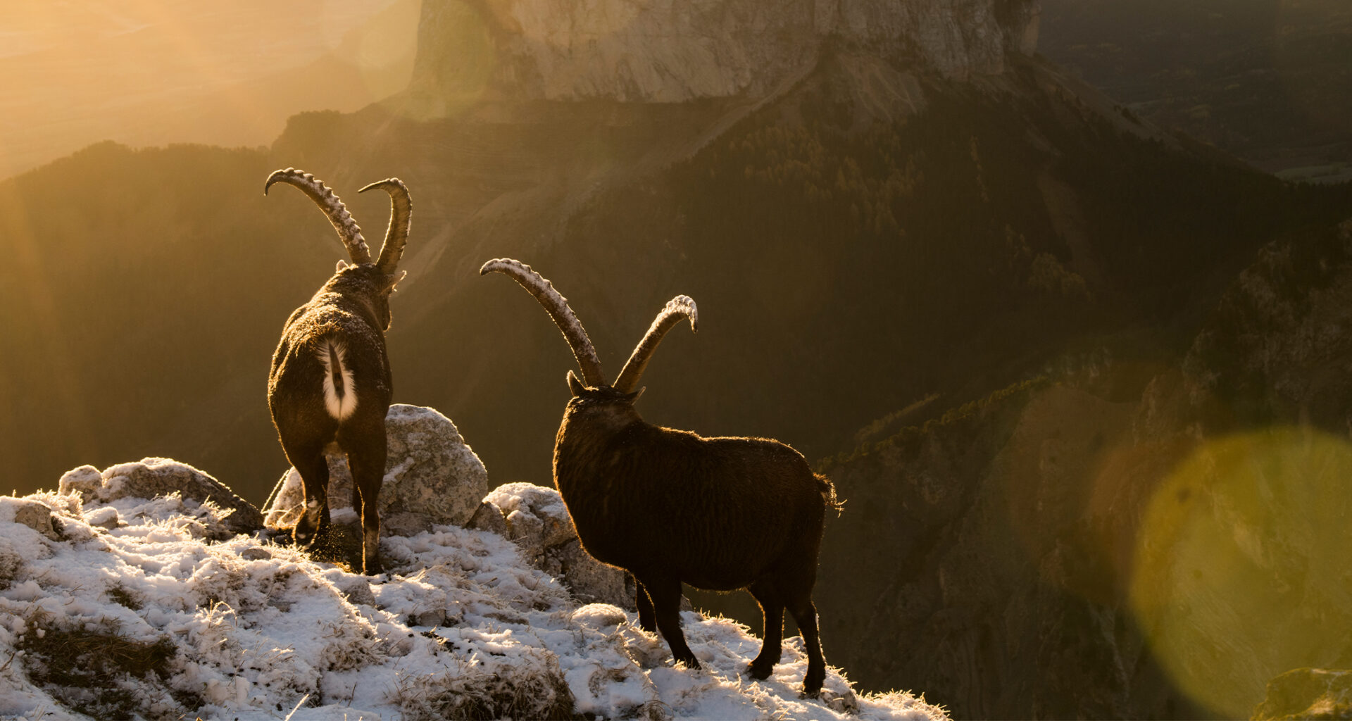 France’s largest rewilding project