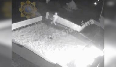 Gardaí release CCTV footage of fatal firebomb attack on Edenderry house – The Irish Times