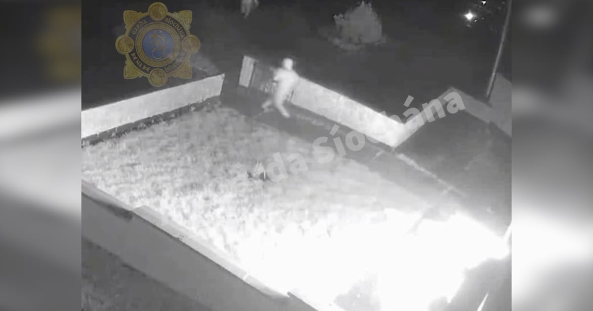 Gardaí release CCTV footage of fatal firebomb attack on Edenderry house – The Irish Times