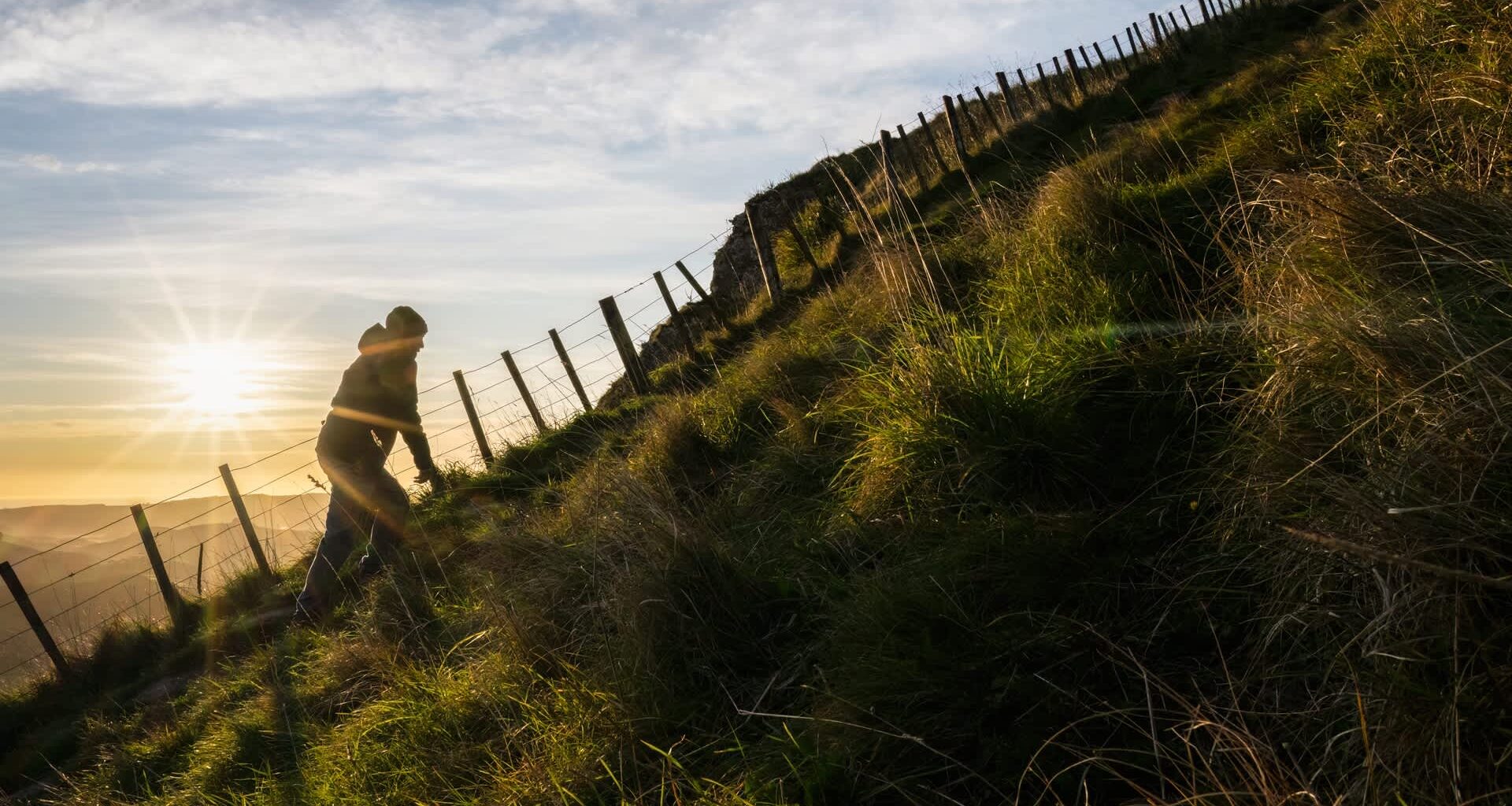 Chilean needle grass was discovered on Te Mata Peak, and experts are concerned about the invasive plant species.