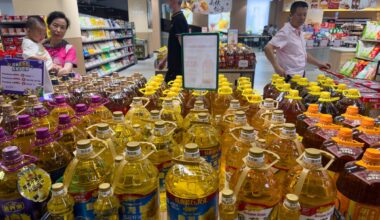 New study links commonly used oil to weight gain - The Independent