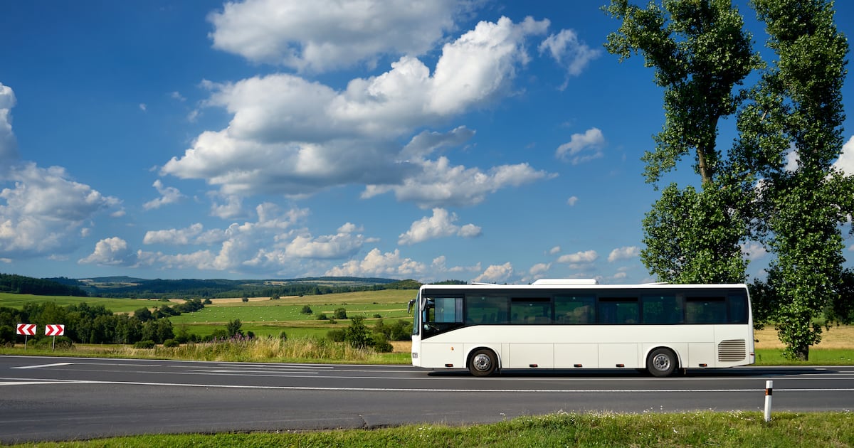Alleged collusion between school bus operators drove up tender prices, trial hears – The Irish Times