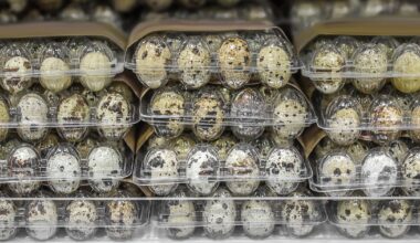 Pâté and quail eggs recalled in food safety alerts – The Irish Times