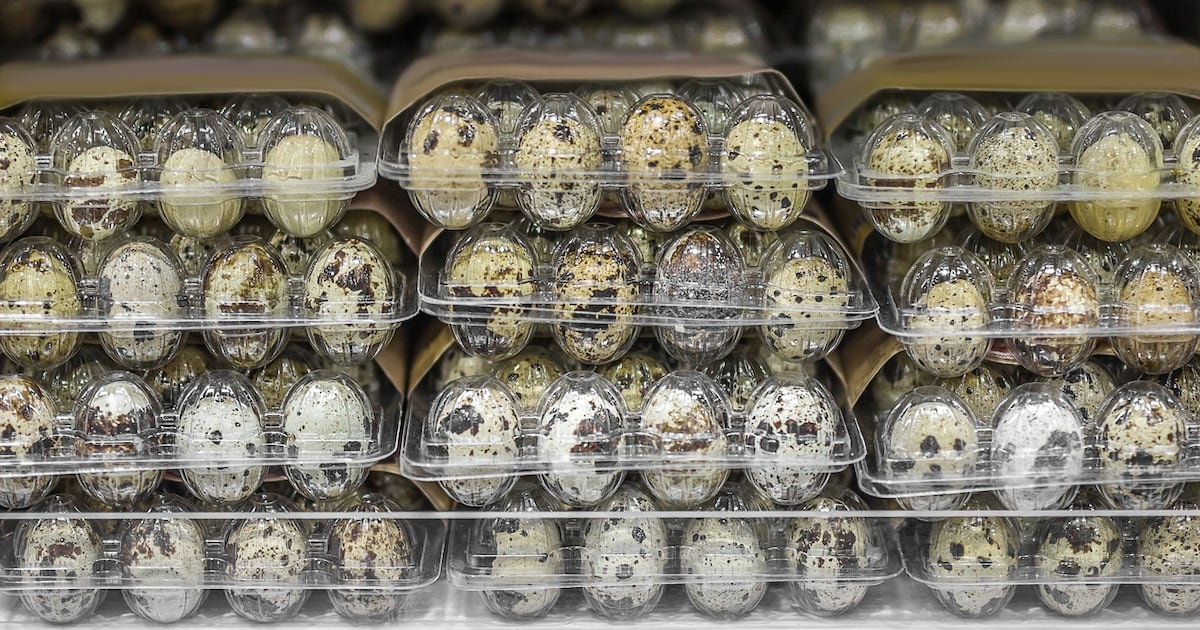 Pâté and quail eggs recalled in food safety alerts – The Irish Times