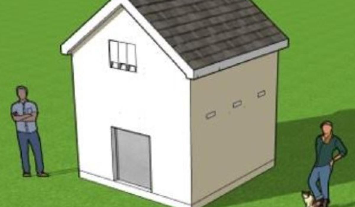 Innovative bat facility being planned for Offaly town