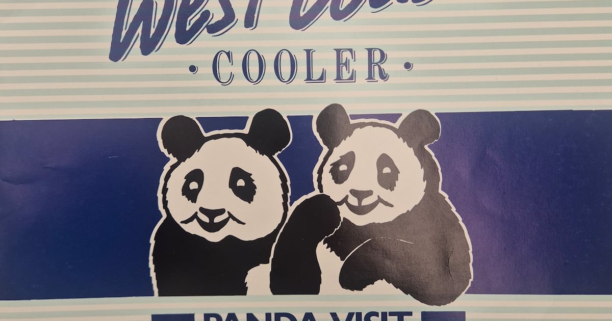 Dublin Zoo ‘distressed’ as panda’s death on return to China linked in report to Irish stay – The Irish Times