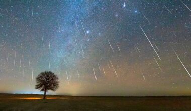 How to Watch the Final Meteor Shower of 2025