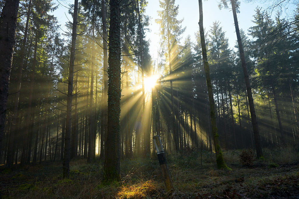 Europe's 2030 environment policy goals slip further out of reach