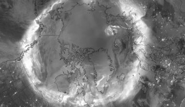 Swarm Star Trackers Flag Rare Proton Spike During November Solar Storm