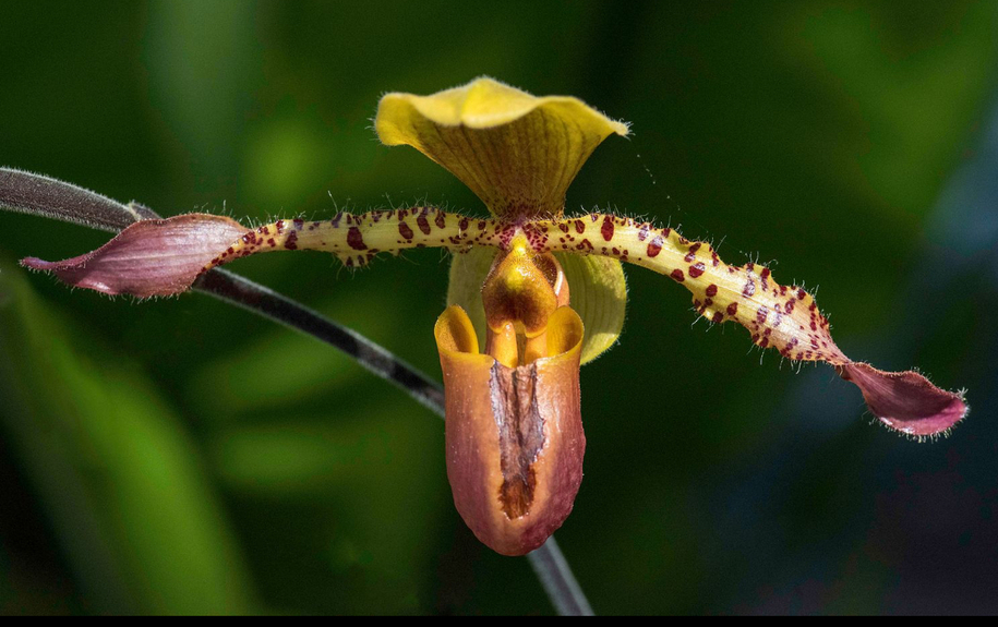 One of my favorite photo techniques