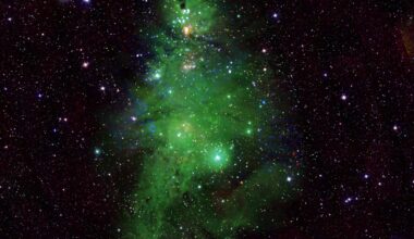 The contributions from NASA’s Chandra X-ray data provide the blue and white flickering lights from young stars and the green pine needles come from the optical data collected by the National Science Foundation’s WIYN Observatory.