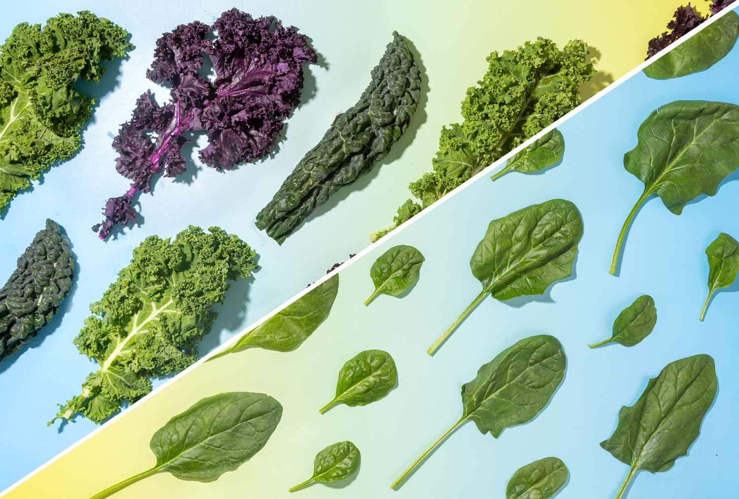 Kale vs. Spinach: Which Is Healthier?