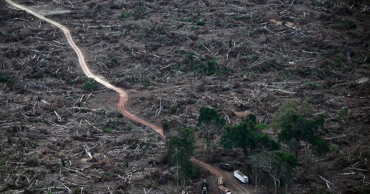 Environmental and climate crises present ‘growing peril’ for humanity, UN report warns – The Irish Times