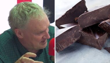 Luke O'Neill: Why eating choclate is good for you
